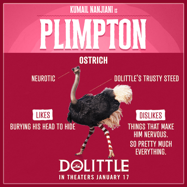 Dolittle Plimpton