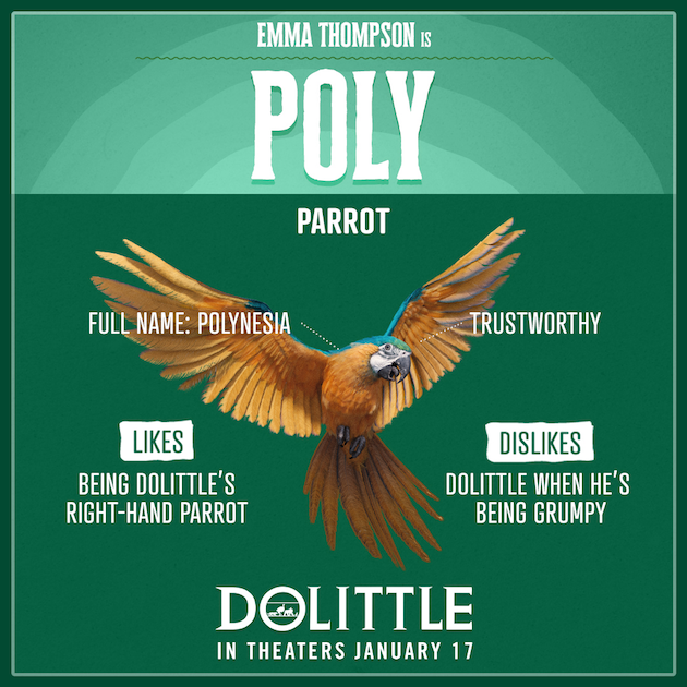 Dolittle Poly