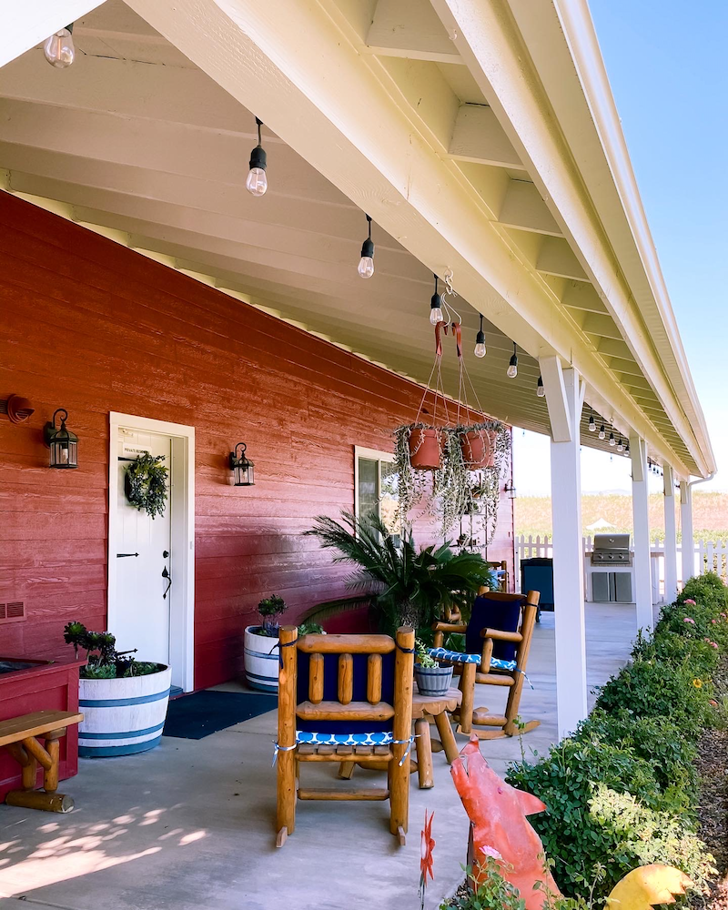 UPick Blueberries at Temecula Berry Company Rockin Mama™