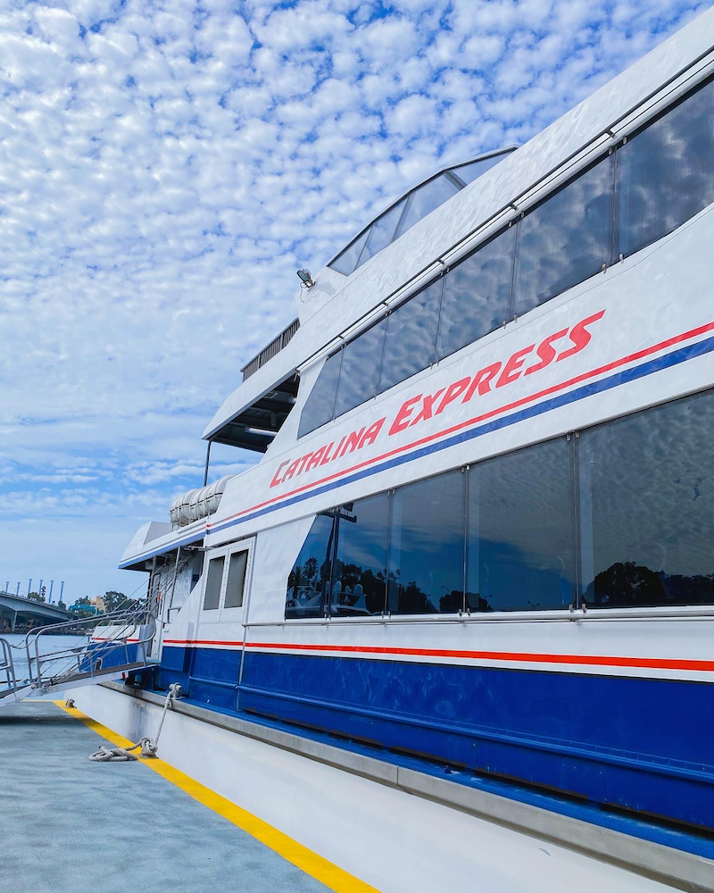 Complete Guide to Visiting Catalina Island Rockin Mama™