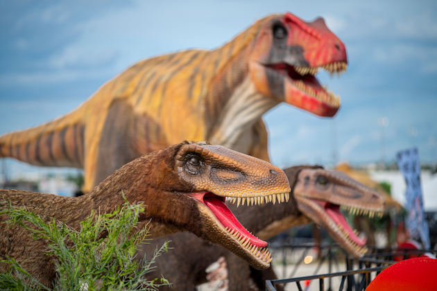 Dinosaurs at Jurassic Quest