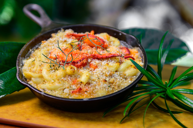 Lobster Mac and Cheese