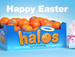 Wonderful Halos Easter Crafts