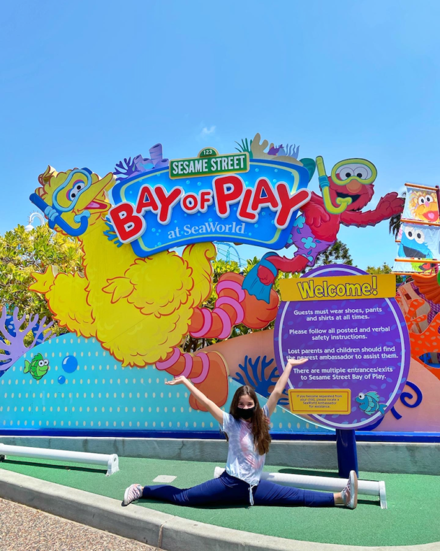 Sesame Street Bay of Play