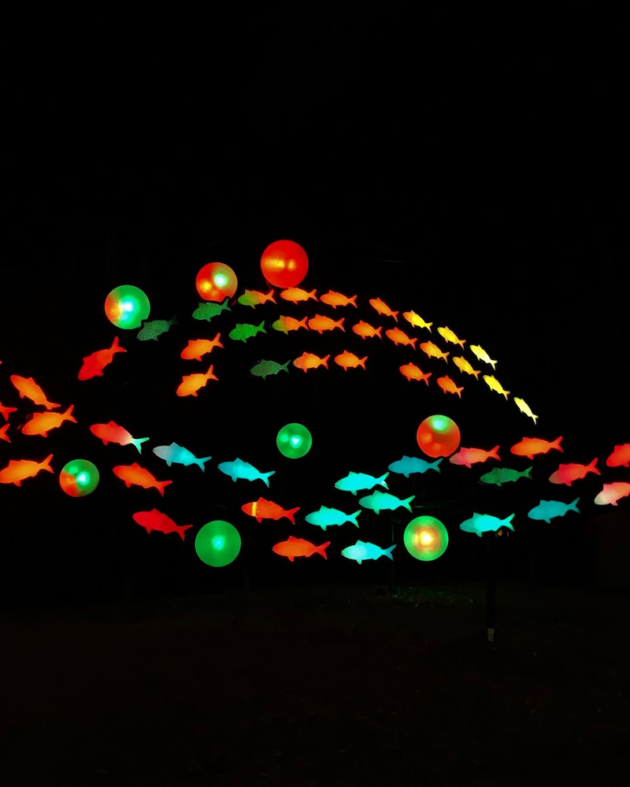 Glowing Illuminations at SeaWorld San Diego