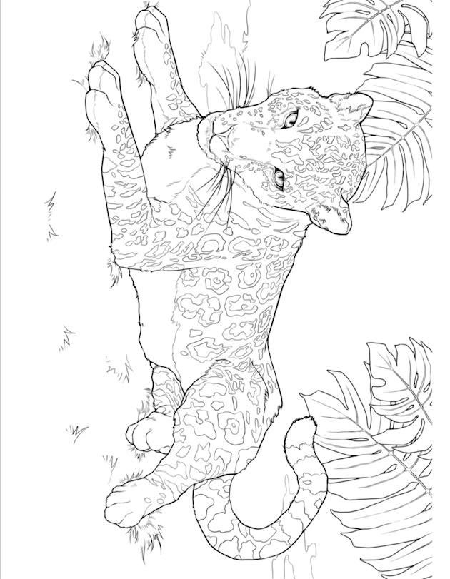 Jungle Cruise Coloring Sheet 3