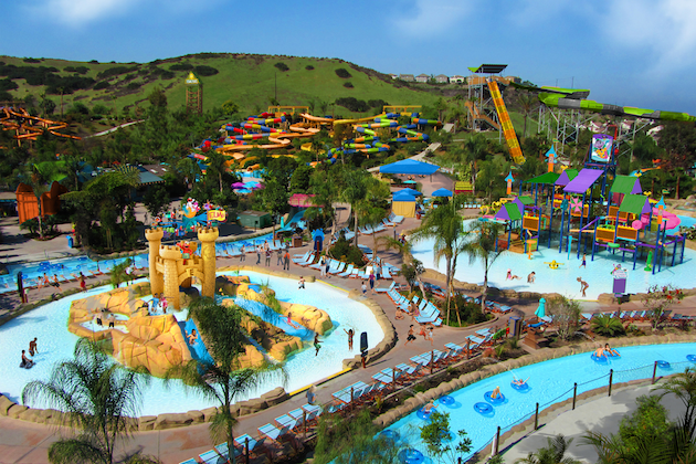 What to Expect at SeaWorld San Diego
